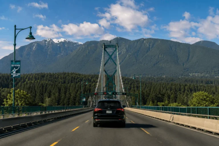 Suspension bridge leading to mountains